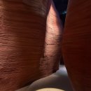 AR/VR 코스페이스 어드벤처 | 동탄 디스커버리 네이처스케이프 실제 후기 – 아이와 함께 가볼 만한 실내 자연 테마파크🌿