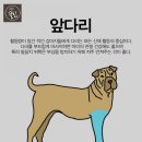 도긴더샵 이미지
