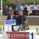 레알애견훈련소 네이버블로그
