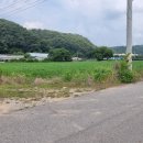 금교농장 이미지