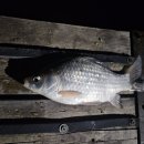 내곡낚시터 이미지