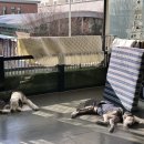 휘게 펫케어 이미지