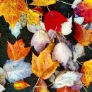 행복으로의초대 이미지