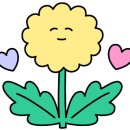 얼리 필라테스 이미지