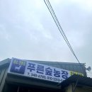 늘푸른소리 농장 이미지