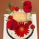 우스터(WOOSTIR) 이미지