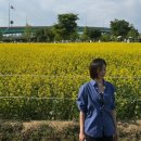 쏭타코야끼카페 | May, 2026. 봄이다 봄 🌼