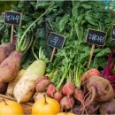 덕화농장 이미지