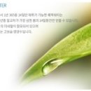 대신카클리닉 네이버블로그