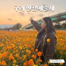 안동예술제 | 경기도 가볼만한곳 / 구리 가볼만한곳 # 구리 한강시민공원 코스모스 축제 한강예술제 후기