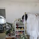 나라애견본점 | [청주 야외 애견 스냅] 마리즈스튜디오 후기📷