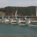 흐르는 강물을 바라 이미지