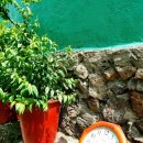 베리베리굿봉산마을 이미지