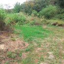 안성공인중개사사무소 이미지