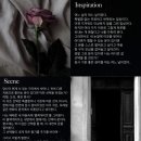 글라스 린 | 남녀공용 향수 추천｜코넬린 블랙게이트 오드퍼퓸 사용 후기