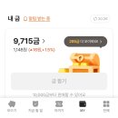 [2025 요니나 재테크 머니클래스] 4주차 후기 - 세액공제, 개인연금, 퇴직연금(IRP), 채권, 환테크, 금...
