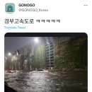 실시간 서울 폭우 피해 이미지