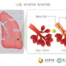 H6690 이미지