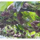 본욱농장 이미지