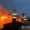 톱밥제조공장 이미지
