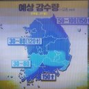 불갑사 산행 취소 안내 이미지