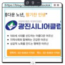 광진시니어클럽 이미지