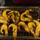 바이크홀릭S