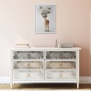 antic and  이미지