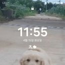 없음 이미지