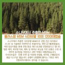 플러스팜