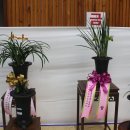 임실 군민회관 이미지