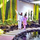 진틀목장 | 거제 여행 놀거리 식물원 정글돔 정글타워 미끄럼틀