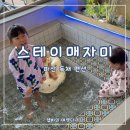 스테이매자미 이미지