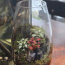 비제이팜 이미지