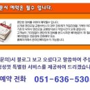 메이저카닥터 이미지