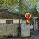 장귀자 사진전 고향정담Ⅱ 이미지