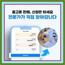 21세기전파상