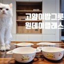 도자기 | 경남고성 원데이클래스 도자기공방 체험 후기 (고양이 강아지 밥그릇 만들기, 플라쎄)