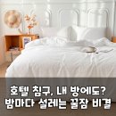호텔잠자리 | 내 침실이 5성급 호텔? 루아베 호텔 침구의 비밀!