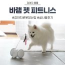개꿀 티스토리
