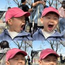 우리들의명소 | 김포 벚꽃 명소 계양천 벚꽃축제 후기❤️