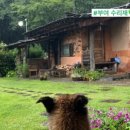 등경수약수터 이미지