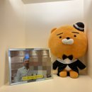 알레르기 | 알레르기비염한의원 후기 병원도 못잡은 콧물,기침 좋아졌어요