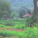 풍경이 머무는 곳 이미지