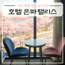 노아스로스팅은파호수점 | 군산 벚꽃 호수 뷰 맛집 호텔 은파팰리스 디럭스룸, 조식, 카페 후기