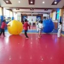 용인대용진태권도체육관