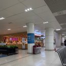 1719 | 청주 공항에서 제주도 대한항공 KE1719 이용 후기와 뚜벅이 이마트 신제주점 여행 물품 보관 팁