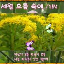 김*흥 이미지
