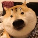 머더파커건대