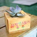 피아노스토리학원 이미지